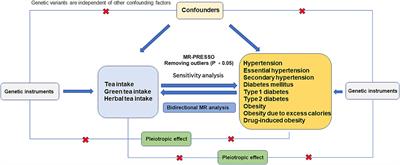 Effect of tea consumption on the development of hypertension, diabetes, and obesity: a bidirectional two-sample Mendelian randomization analysis